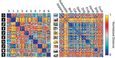 Representational Distance Learning for Deep Neural Networks